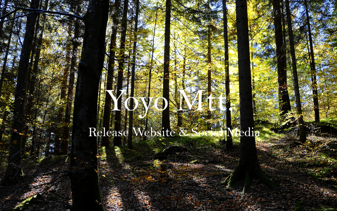 Website & Social Media launch “shadows & lights”