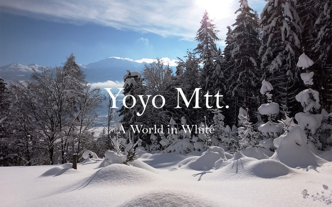 New Art Project: A World in White